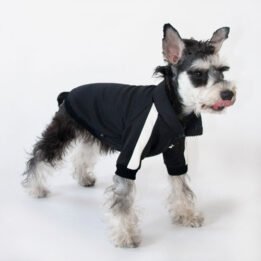 Sport Pet Clothes Custom Fashion Dog BomberJacket Blank Dog Clothes www.gmtproducts.com