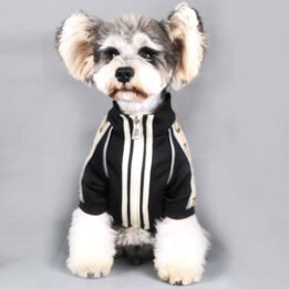 2020 Dog Coat Spring Autumn Pet Clothing Small Designer Dog Clothes www.gmtproducts.com