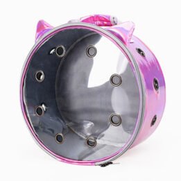 Pet Travel Bag for Cat Cage Carrier Breathable Transparent Window Box Capsule Dog Travel Backpack www.gmtproducts.com