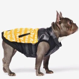 Pet Dog Clothes Vest Padded Dog Jacket Cotton Clothing for Winter www.gmtproducts.com