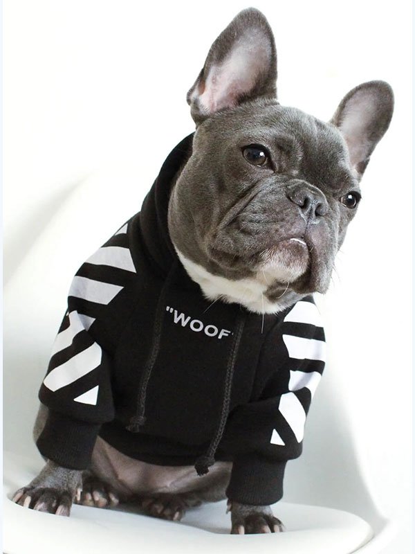 Роскошная одежда для домашних животных, теплая толстовка с капюшоном, модная зимняя дизайнерская одежда для собак на заказ, 06-1396 www.gmtproducts.com