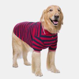 Pet Clothes Thin Striped POLO Shirt Two-legged Summer Clothes 06-1011-1 www.gmtproducts.com