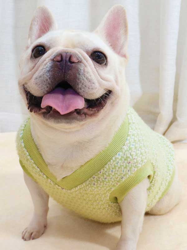 GMTPET Thickened autumn and winter fat dog short body bulldog pug dog lady plush rich rich French fighting clothes v-neck vest vest 107-222012 www.gmtproducts.com