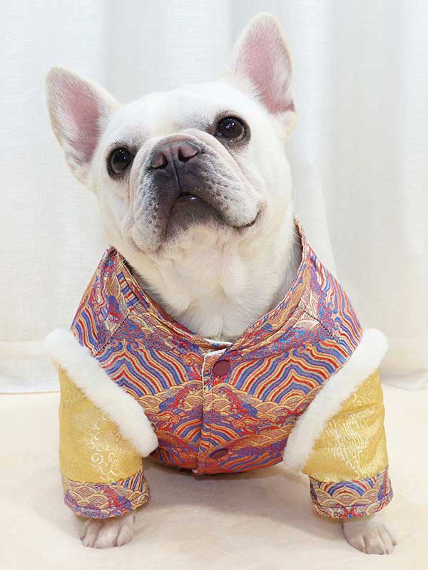 GMTPET French fighting Chinese New Year’s clothing New Year’s clothing Tang suit Chinese style fat dog bulldog dog clothes thickened rabbit fur jacket cotton coat 107-222013 www.gmtproducts.com