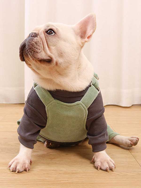 GMTPET French fighting clothes high elastic comfortable solid color plus velvet thick bottoming shirt T-shirt bulldog dog clothes 107-222016 www.gmtproducts.com