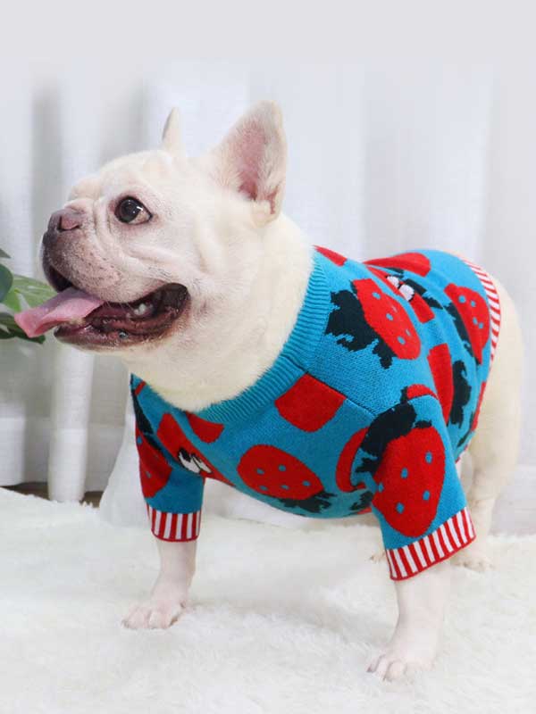 New autumn and winter dog clothes bulldog sweater strawberry cartoon short body fat dog method fighting autumn sweater 107-222041 www.gmtproducts.com
