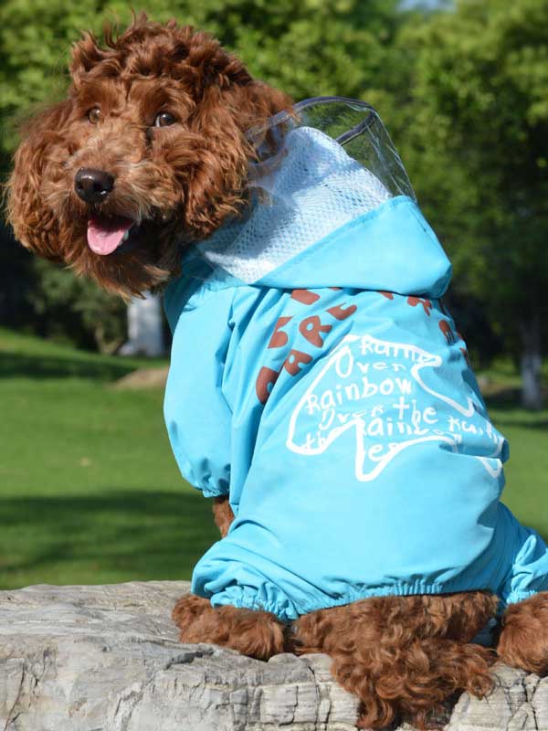 GMTPET Pet Goods Supplier Wholesale OEM Pet Raincoat Transparent Hat Poncho Puppy 06-1018 Dog Clothes: Shirts, Sweaters & Jackets Apparel cat and dog clothes
