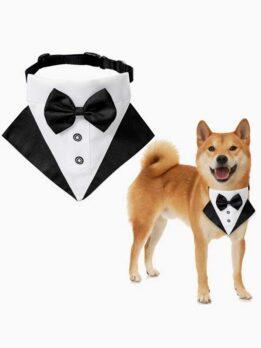 Wedding suit pet drool towel dog collar pet triangle towel pet bow tie wedding suit triangle towel 118-37007 www.gmtproducts.com
