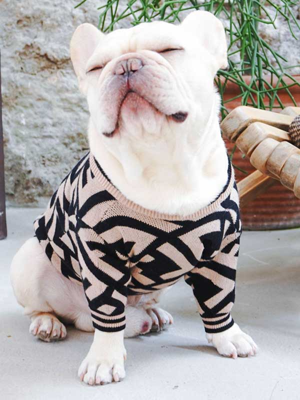 Оптовый поставщик одежды для домашних животных Роскошный вязаный свитер для собак Теплая зимняя одежда для собак 06-1392 www.gmtproducts.com